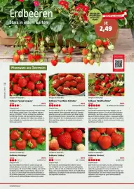 Bauhaus Flugblatt Seite 56