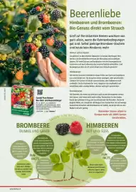 Bauhaus Flugblatt Seite 58