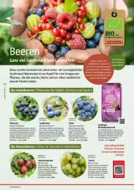 Bauhaus Flugblatt Seite 60