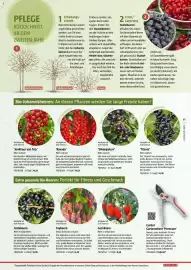 Bauhaus Flugblatt Seite 61