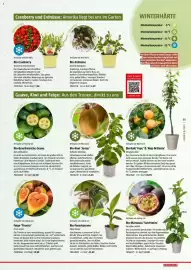 Bauhaus Flugblatt Seite 65