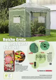 Bauhaus Flugblatt Seite 68