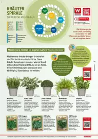 Bauhaus Flugblatt Seite 9