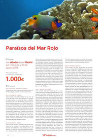Folleto Halcón Viajes Página 54