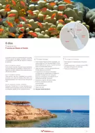 Folleto Halcón Viajes Página 55