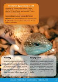 Pets Domain catalogue Page 25