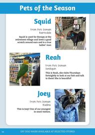 Pets Domain catalogue Page 44