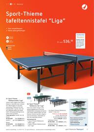 Sport Thieme folder Pagina 45