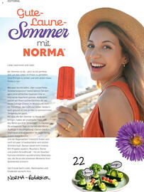 Norma Prospekt Seite 2