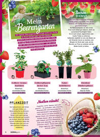 Norma Prospekt Seite 6