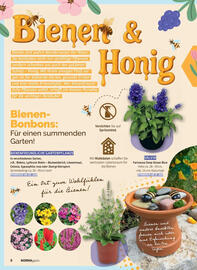 Norma Prospekt Seite 8