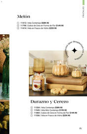 Catálogo Home Interiors Página 15
