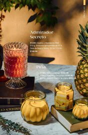 Catálogo Home Interiors Página 17