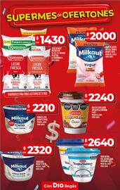 Catálogo Supermercados DIA semana 27 Página 10