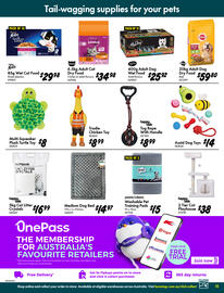 Bunnings catalogue Page 15