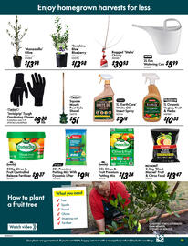 Bunnings catalogue Page 19