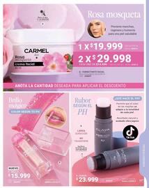 Catálogo Carmel Página 151