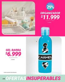 Catálogo Carmel Página 204
