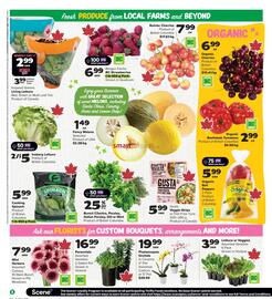 Thrifty Foods flyer week 27 Page 3