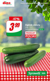 Dino gazetka tydzień 27 Strona 3