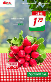 Dino gazetka tydzień 27 Strona 5