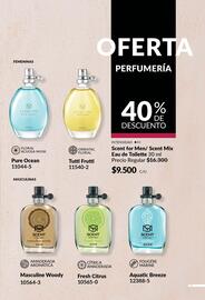 Catálogo Avon Página 177