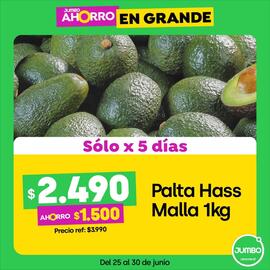 Catálogo Jumbo Página 7