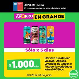 Catálogo Jumbo Página 8