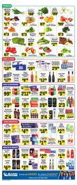 Sellers Bros Weekly Ad week 27 Page 4