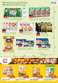 RAK Coop catalogue Page 17