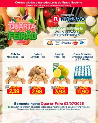 Catálogo Nagumo