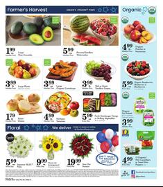 Pavilions Weekly Ad week 27 Page 8