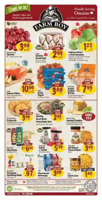 Farm Boy flyer (valid until 9-07)