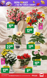 Polomarket gazetka tydzień 27 Strona 5