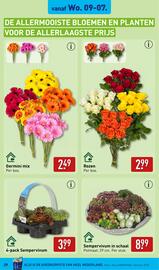 ALDI folder week 28 Pagina 29