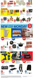 Lidl Weekly Ad week 27 Page 2