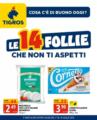 Volantino Tigros