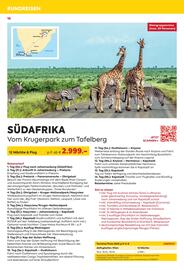 Billa Reisen Flugblatt Seite 16