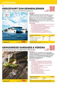 Billa Reisen Flugblatt Seite 22