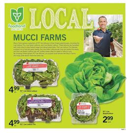 Fortinos flyer Page 4
