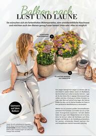 Dehner Prospekt Seite 18