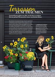 Dehner Prospekt Seite 22