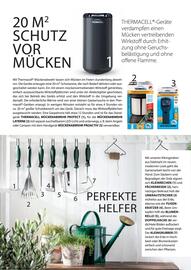 Dehner Prospekt Seite 61