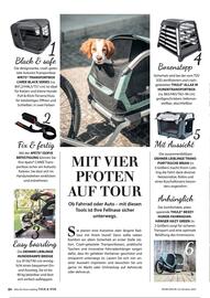 Dehner Prospekt Seite 84