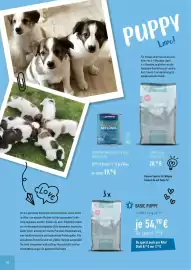 Prowin Prospekt Seite 10