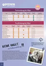 Prowin Prospekt Seite 14