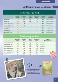 Prowin Prospekt Seite 15