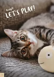 Prowin Prospekt Seite 16