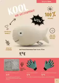 Prowin Prospekt Seite 17