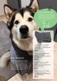 Prowin Prospekt Seite 24